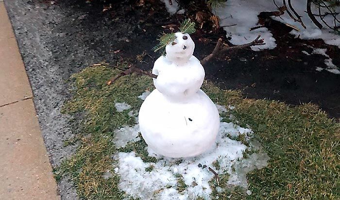 Behavioral Health Specialists snowman